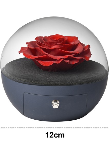 Esinti Sonsuz Çiçek ve Gül Içeren Küresel Akrilik Mücevher Kutusu, (Yurt Dışından) fiyatları