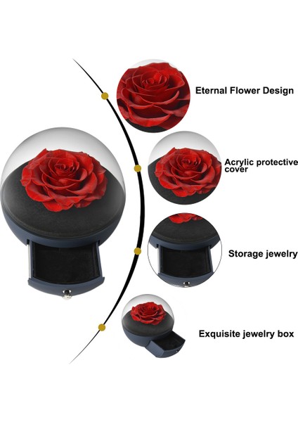 Esinti Sonsuz Çiçek ve Gül Içeren Küresel Akrilik Mücevher Kutusu, (Yurt Dışından) modelleri