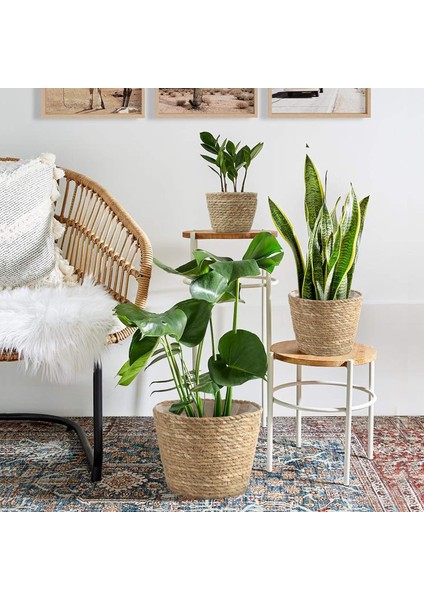 Bitki Sepeti, Su Geçirmez Plastik Astarlı El Dokuması Ekim Sepeti (Yurt Dışından) fırsatları