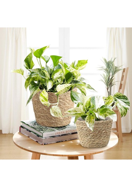 Bitki Sepeti, Su Geçirmez Plastik Astarlı El Dokuması Ekim Sepeti (Yurt Dışından) indirimleri
