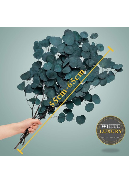 Whıte Lüks - Kurutulmuş Çiçekler Gibi Okaliptüs Bir Göz Alıcı - Sonsuza Kadar Kalıcı Eucal (Yurt Dışından) fiyatları