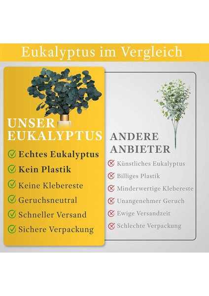Whıte Lüks - Kurutulmuş Çiçekler Gibi Okaliptüs Bir Göz Alıcı - Sonsuza Kadar Kalıcı Eucal (Yurt Dışından) modelleri