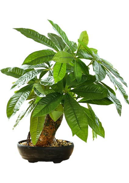 Esinti Simülasyonu Büyük Bonsai, Yeşil Bitkiler, Bonsai, Yaratıcı Ev Dekorasyonu, Yapay (Yurt Dışından)