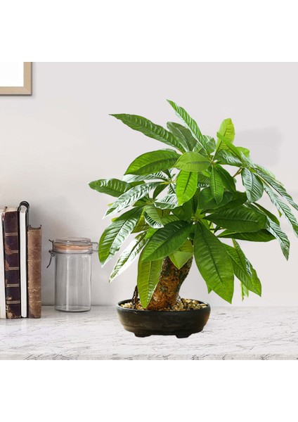 Esinti Simülasyonu Büyük Bonsai, Yeşil Bitkiler, Bonsai, Yaratıcı Ev Dekorasyonu, Yapay (Yurt Dışından) modelleri