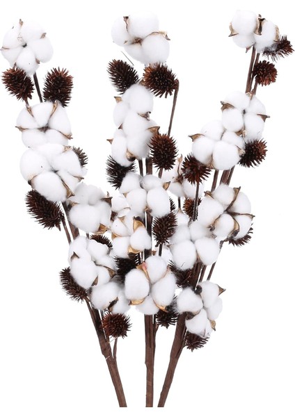 Piece Doğal Pamuk Çiçek, 6 Başlı, Doğal Kurutulmuş Çiçek Buketi, (Yurt Dışından)