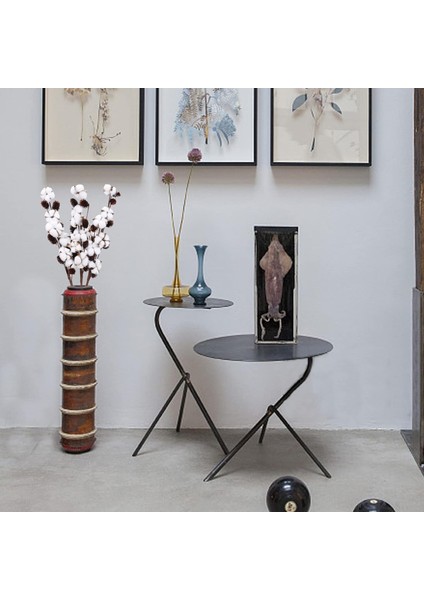 Piece Doğal Pamuk Çiçek, 6 Başlı, Doğal Kurutulmuş Çiçek Buketi, (Yurt Dışından) fiyatları