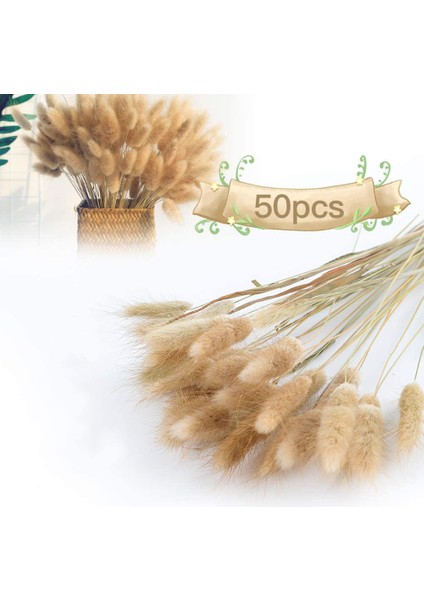 Esinti Paketi 50 Adet Kurutulmuş Çiçek Pampa Otu Dekorasyonu, Kurutulmuş Pampa Otu Büyük Doğal Buket (Yurt Dışından)