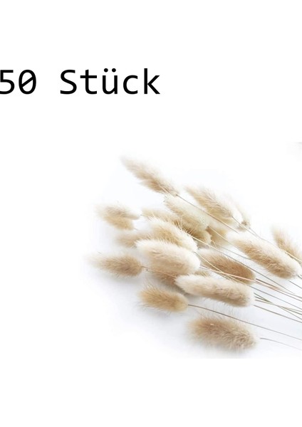 Esinti Paketi 50 Adet Kurutulmuş Çiçek Pampa Otu Dekorasyonu, Kurutulmuş Pampa Otu Büyük Doğal Buket (Yurt Dışından) modelleri