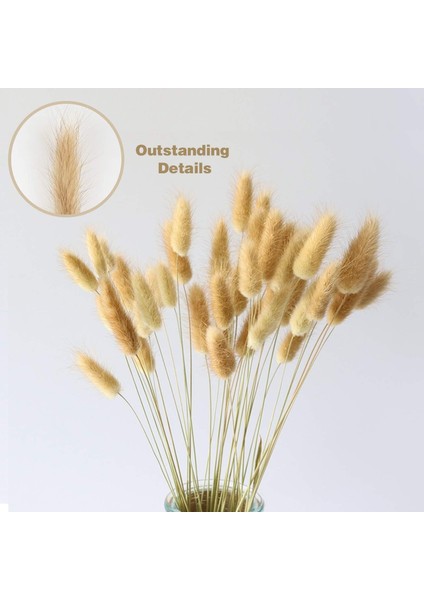 Esinti Paketi 50 Adet Kurutulmuş Çiçek Pampa Otu Dekorasyonu, Kurutulmuş Pampa Otu Büyük Doğal Buket (Yurt Dışından) indirimleri