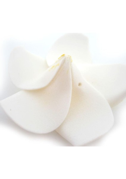 Esinti 100 Adet Beyaz Köpük Hawai Frangipani Yapay Plumeria Yaprakları (Yurt Dışından) modelleri