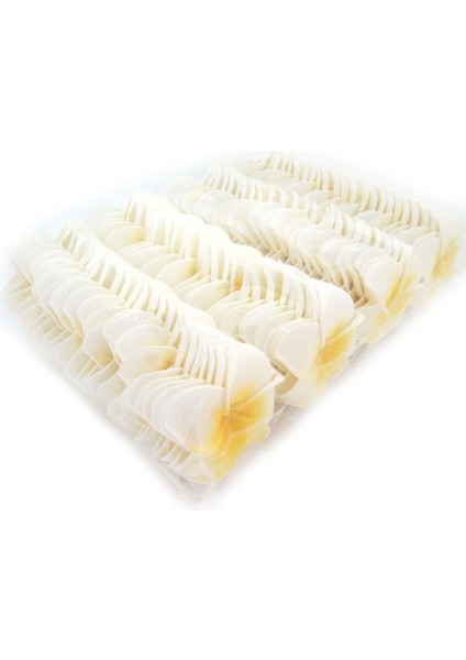 Esinti 100 Adet Beyaz Köpük Hawai Frangipani Yapay Plumeria Yaprakları (Yurt Dışından) fırsatları