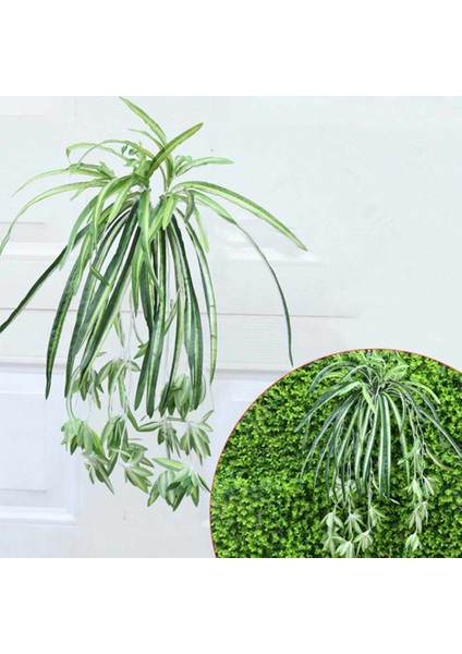 Esinti Buketi Büyük Simulatio Chlorophytum Comosumn Bitki Duvar Dekorasyonu Yapay (Yurt Dışından) fiyatları