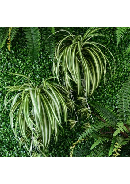Esinti Buketi Büyük Simulatio Chlorophytum Comosumn Bitki Duvar Dekorasyonu Yapay (Yurt Dışından) fırsatları