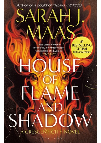 House Of Flame And Shadow (Crescent City 3)