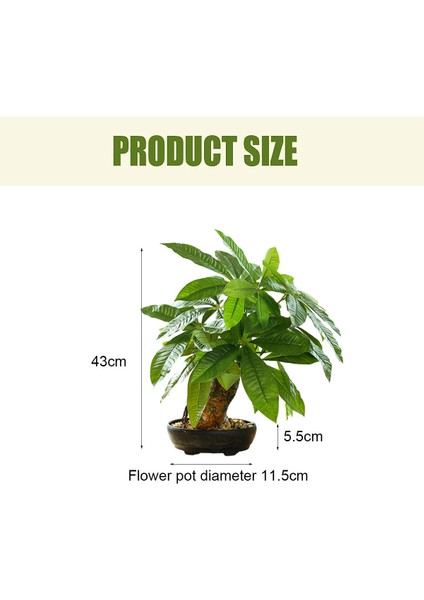 Esinti Simülasyonu Büyük Bonsai, Yeşil Bitkiler, Bonsai, Yaratıcı Ev Dekorasyonu, Yapay (Yurt Dışından) fiyatları