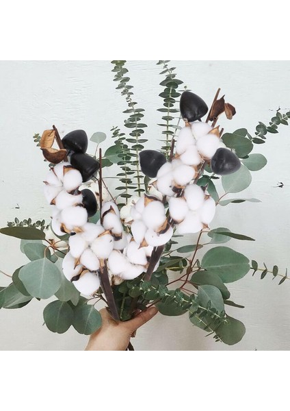 Kurutulmuş Pamuk Çiçekleri 3'lü Paket Suni Pamuk Şubesi 5 Kafa Pamuk (Yurt Dışından) indirimleri