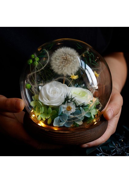 Esinti Uzun Ömürlü Doğal Çiçekler, Özel Günlerde Sevgi Göndermek Için Çiçek Si (Yurt Dışından)