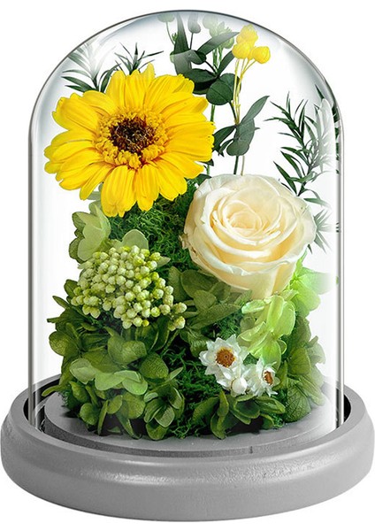 Ebedi Çiçek Dekorasyonu Ayçiçeği Gülü Cam Kapak ve Işıklı Doğum Günü Si (Yurt Dışından)