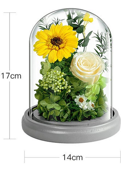 Ebedi Çiçek Dekorasyonu Ayçiçeği Gülü Cam Kapak ve Işıklı Doğum Günü Si (Yurt Dışından) fiyatları