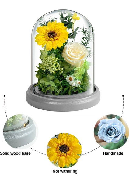 Ebedi Çiçek Dekorasyonu Ayçiçeği Gülü Cam Kapak ve Işıklı Doğum Günü Si (Yurt Dışından) modelleri