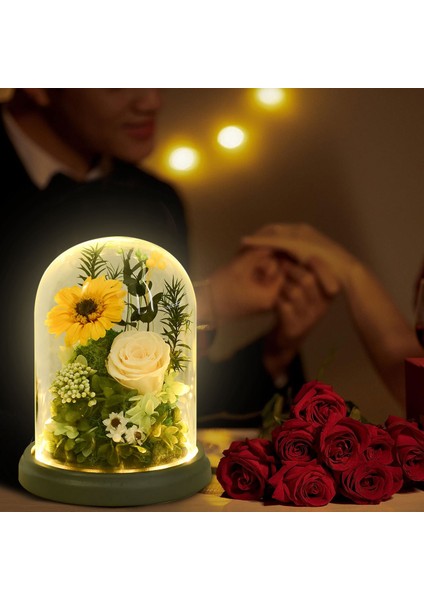 Ebedi Çiçek Dekorasyonu Ayçiçeği Gülü Cam Kapak ve Işıklı Doğum Günü Si (Yurt Dışından) fırsatları