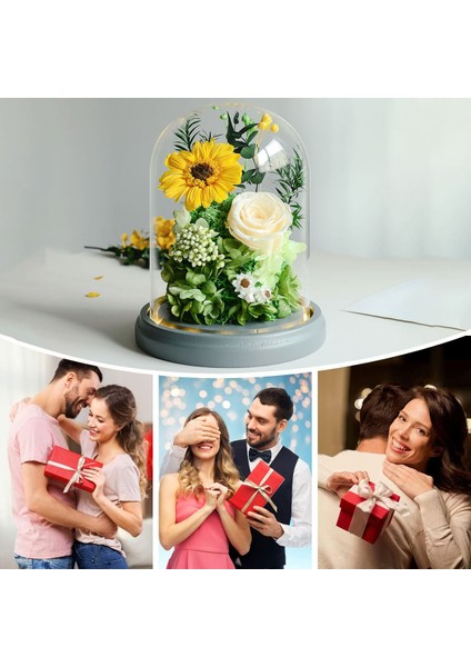 Ebedi Çiçek Dekorasyonu Ayçiçeği Gülü Cam Kapak ve Işıklı Doğum Günü Si (Yurt Dışından) indirimleri