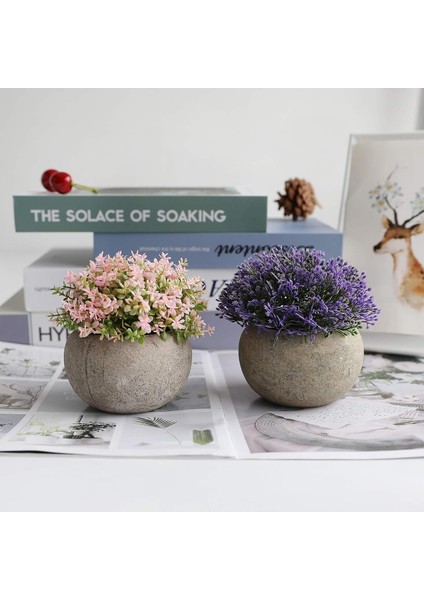 Modern Çiftlik Evi Bitki Ev Dekorasyonu Için Teotake Mini Yapay Bitkiler, Küçük G (Yurt Dışından) modelleri