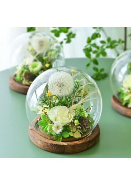 Esinti Uzun Ömürlü Doğal Çiçekler, Özel Günlerde Sevgi Göndermek Için Çiçek Si (Yurt Dışından) fırsatları