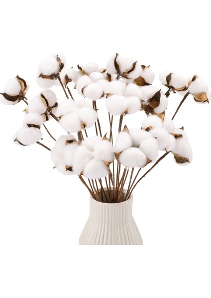 20 Adet Pamuk Sapı, Yapay Pamuk Çiçekleri, Kurutulmuş Pamuk Çubukları (Yurt Dışından)