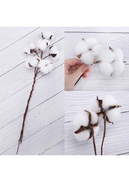 20 Adet Pamuk Sapı, Yapay Pamuk Çiçekleri, Kurutulmuş Pamuk Çubukları (Yurt Dışından) modelleri