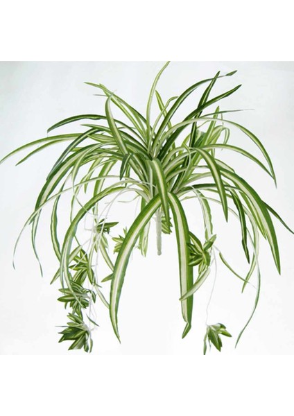 Esinti Buketi Büyük Simulatio Chlorophytum Comosumn Bitki Duvar Dekorasyonu Yapay (Yurt Dışından)