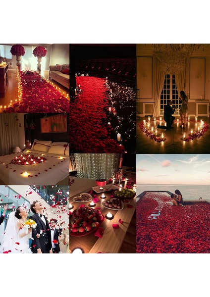 600 Adet Ipek Yapay Gül Yaprağı (Kırmızı) (Yurt Dışından) fiyatları