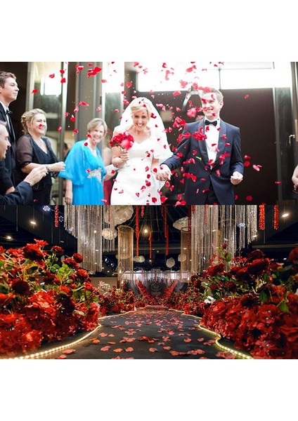 600 Adet Ipek Yapay Gül Yaprağı (Kırmızı) (Yurt Dışından) modelleri