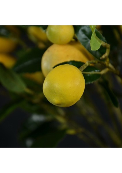 Sticks Yapay Limon Dalları, Taze Sarı Yapay Limon Dalları, Aralık (Yurt Dışından) fırsatları