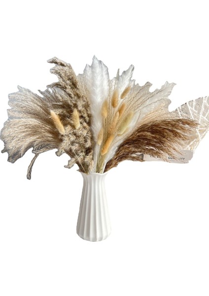 Esinti Doğal Kurutulmuş Pampas Otu, Kurutulmuş Çiçek Dekorasyonu, Kabarık Bitkiler, Kurutulmuş Çiçek (Yurt Dışından)