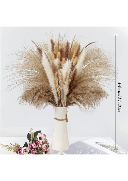 Esinti Doğal Kurutulmuş Pampas Otu, Kurutulmuş Çiçek Dekorasyonu, Kabarık Bitkiler, Kurutulmuş Çiçek (Yurt Dışından) fiyatları