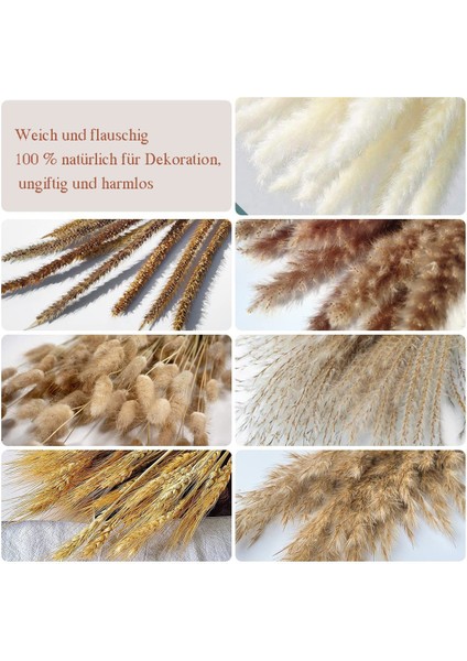 Esinti Doğal Kurutulmuş Pampas Otu, Kurutulmuş Çiçek Dekorasyonu, Kabarık Bitkiler, Kurutulmuş Çiçek (Yurt Dışından) modelleri