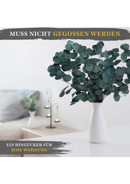 Whıte Lüks - Kurutulmuş Çiçekler Gibi Okaliptüs Bir Göz Alıcı - Sonsuza Kadar Kalıcı Eucal (Yurt Dışından) indirimleri