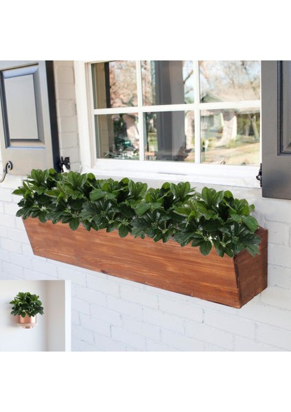 Esinti Yapay Çalılar Bitkiler Yapay Ipek Schefflera Çalılar Hissedin (Yurt Dışından) fiyatları