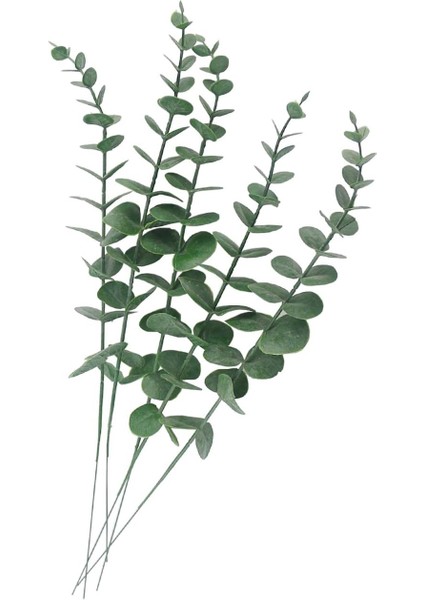 Esinti 5 Adet Yapay Okaliptüs Yaprağı Okaliptüs Yaprağı Parti Düğün Konfeksiyon Için (Yurt Dışından)