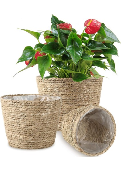 Bitki Sepeti, Su Geçirmez Plastik Astarlı El Dokuması Ekim Sepeti (Yurt Dışından)