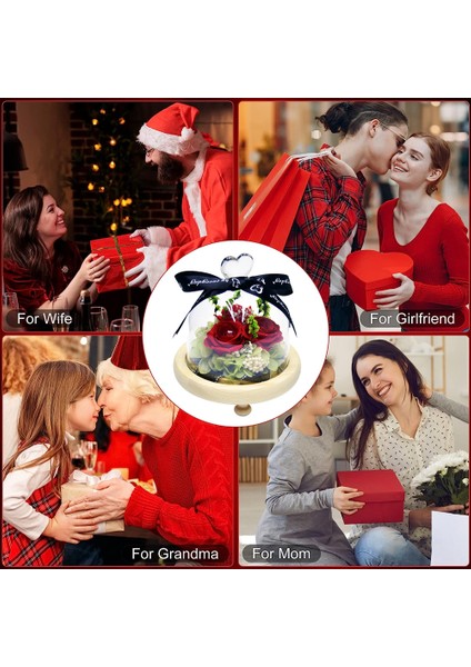 Ebedi Çiçek Dekorasyonu Cam Kapak 3 Gül Tatil Si Doğum Günü Si (Yurt Dışından) indirimleri