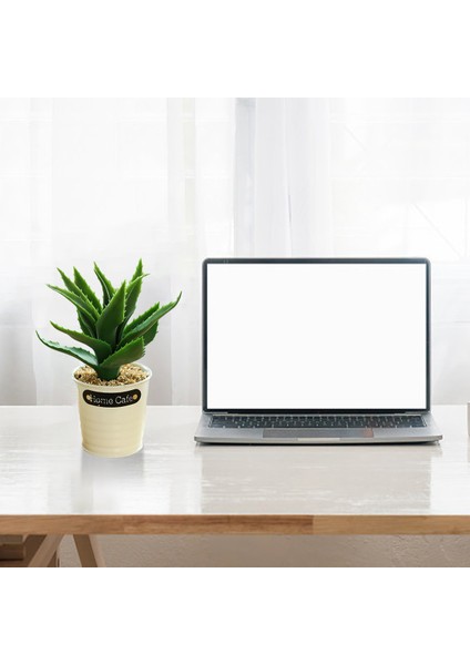 Esinti Parça Simülasyon Succulents Bonsai Kalay Saksılar Yaratıcı Küçük Süsler K (Yurt Dışından) modelleri