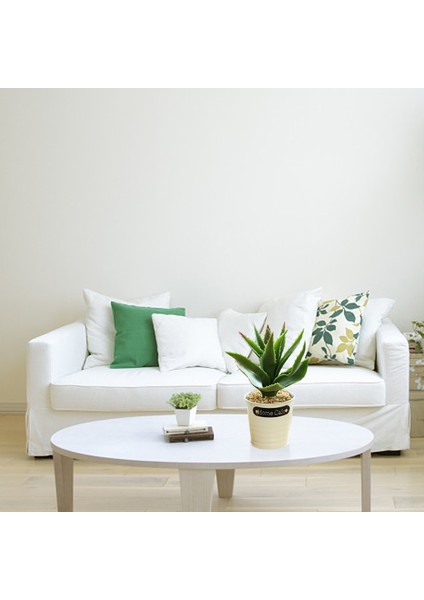 Esinti Parça Simülasyon Succulents Bonsai Kalay Saksılar Yaratıcı Küçük Süsler K (Yurt Dışından) fırsatları