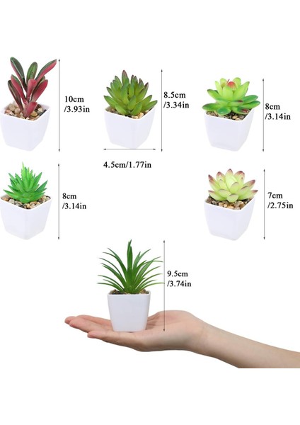 Mini Sahte Succulents Yapay Plastik Saksı Etli Çeşitleri Bitkiler (Yurt Dışından)