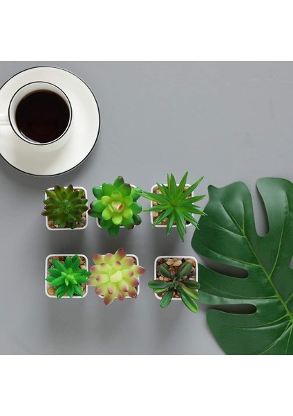 Mini Sahte Succulents Yapay Plastik Saksı Etli Çeşitleri Bitkiler (Yurt Dışından) fiyatları