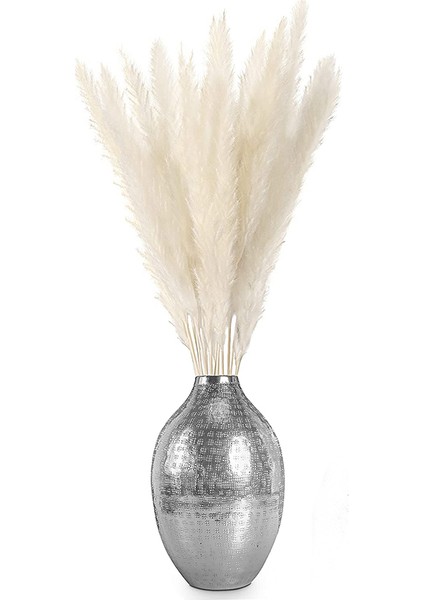 Esinti Kurutulmuş Pampa Otu, Doğal Pampa Otu Kurutulmuş Pampa, Pampa Otu Doğal (Yurt Dışından)