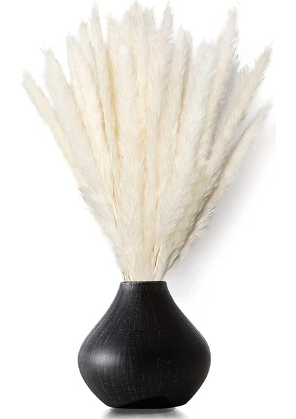 Esinti Kurutulmuş Pampa Otu, Doğal Pampa Otu Kurutulmuş Pampa, Pampa Otu Doğal (Yurt Dışından) indirimleri