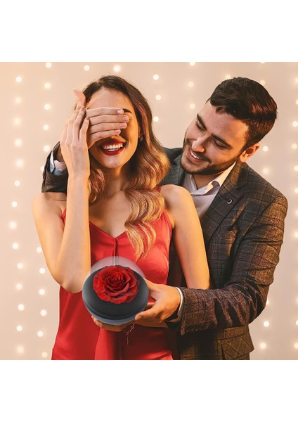 Esinti Sonsuz Çiçek ve Gül Içeren Küresel Akrilik Mücevher Kutusu, (Yurt Dışından) fırsatları