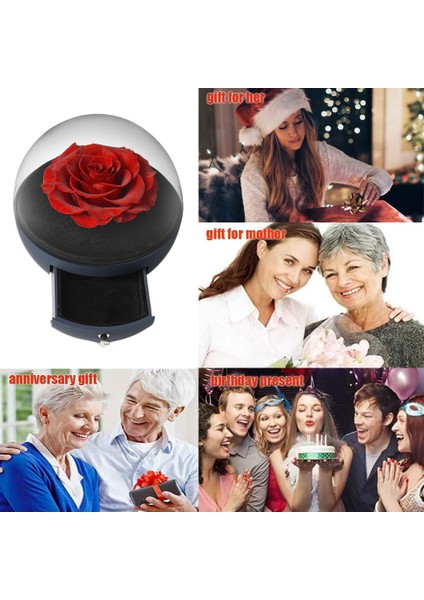 Esinti Sonsuz Çiçek ve Gül Içeren Küresel Akrilik Mücevher Kutusu, (Yurt Dışından) indirimleri